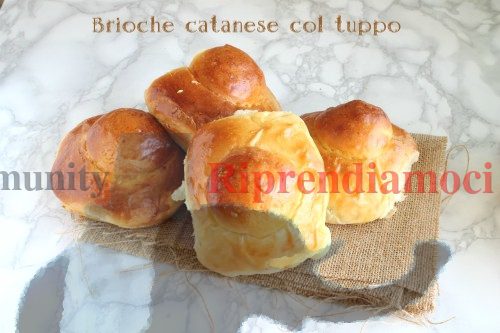 brioche col tuppo intera